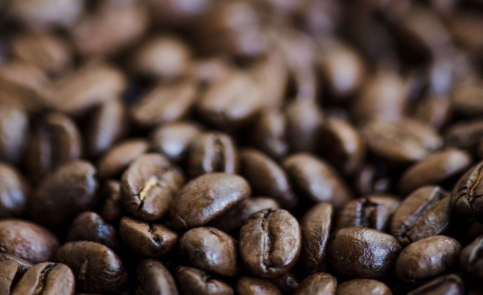 ¿Qué es un café especial? - Cafés de Origen