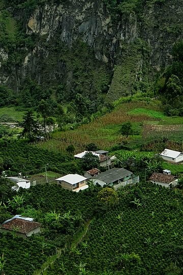 Finca cafetera de Nariño, Colombia, donde se cultiva café de especialidad